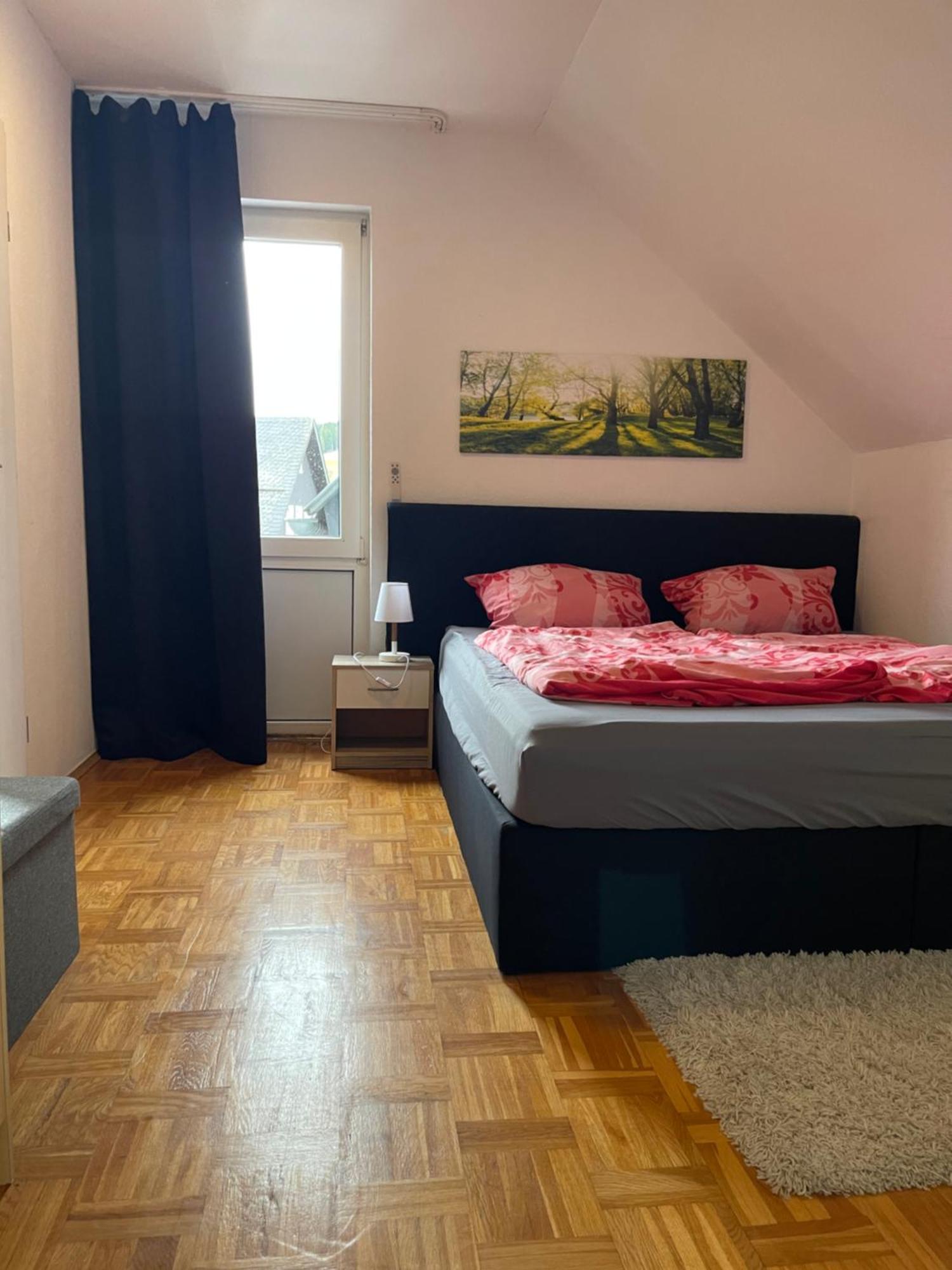 Fewo Zentral Willingen  Buitenkant foto
